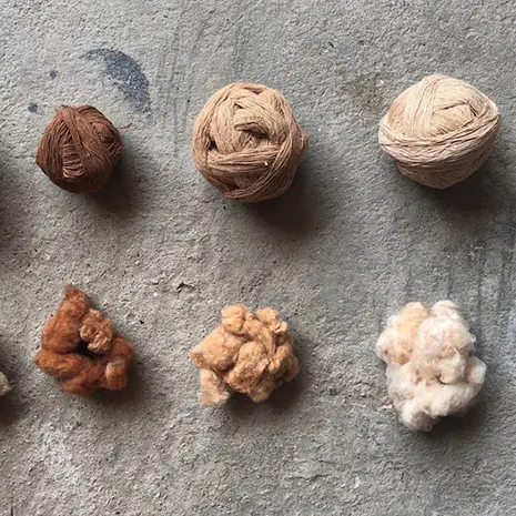 colored-cotton