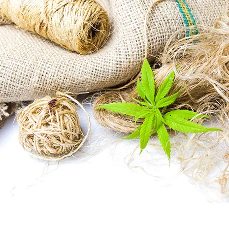 hemp-fiber