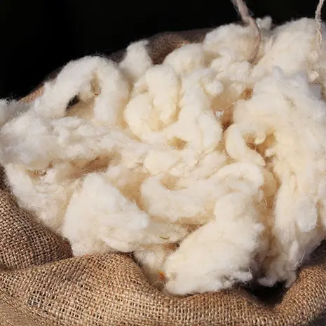 organic-wool